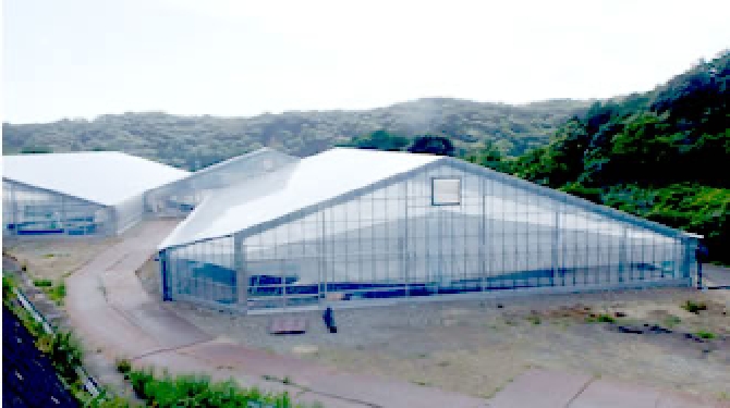 サンケンハウスとは | ビニールハウスならサンケンハウス株式会社-静岡